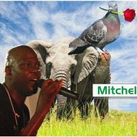 Mitchell Jambo(@JamboMitchel) 's Twitter Profile Photo