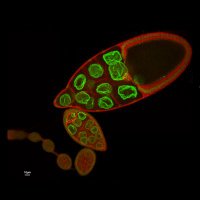 Guichet Lab (@guichetlab) 's Twitter Profile