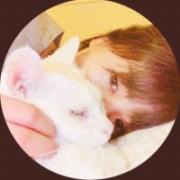 𝕞𝕚𝕝𝕔𝕠 ₍˄·͈༝·͈˄₎ (@milco_38) Twitter profile photo