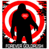 ForeverGoldrush's profile picture. Forever Goldrush is a Psych folk/Pop/Rock Band.