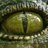 RNSamar_'s profile image
