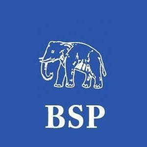 Supporter of Bahujan Samaj Party (BSP)