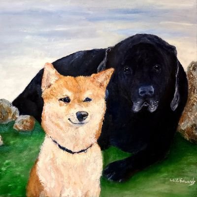 wadedwards's profile picture. 