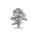 Nabil Abou-Charaf (@nabil_ac) Twitter profile photo Nabil Abou-Charaf (@nabil_ac) Twitter profile photo