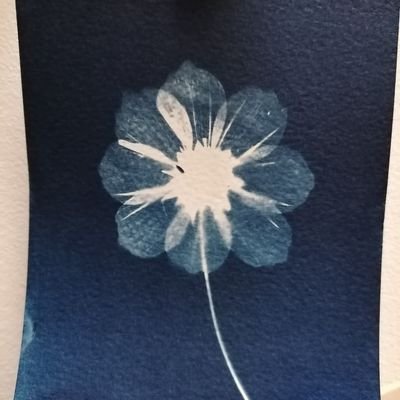 FredCoppee's profile picture. Service des relations publiques au Parlement francophone bruxellois