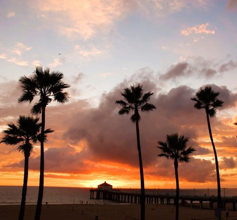 Mandy Lynn (@MandyLynn8) | Twitter