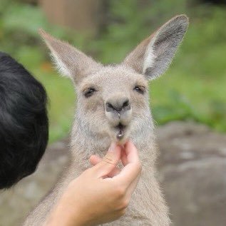 ぶンろ！さんのプロフィール画像