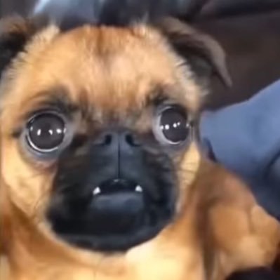 st_brandon02's profile picture. 19 NYC