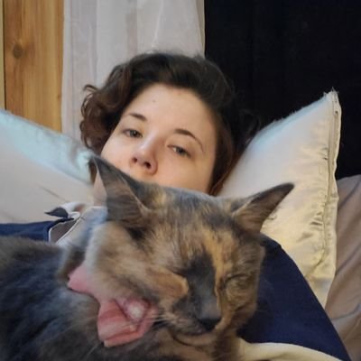 sarsfest's profile picture. Comedian & writer, overcoming PMDD, PTSD & being Canadian at the same time.
the artist formerly known as Sholdice