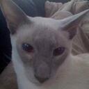 Greg Gordon - @GregDGordon - Twitter