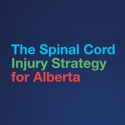 Creating a guide for the future: the Spinal Cord Injury Strategy for Alberta.