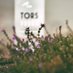 TORS VODKA (@torsvodka) Twitter profile photo TORS VODKA (@torsvodka) Twitter profile photo