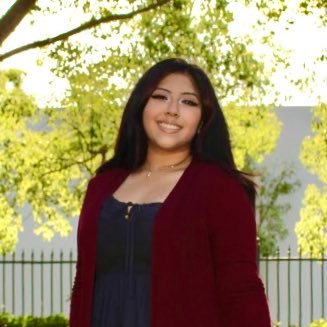 ゚✧ Feel free to repost on your story/retweet Vote For Daisy Martir ASB Vice ゚✧