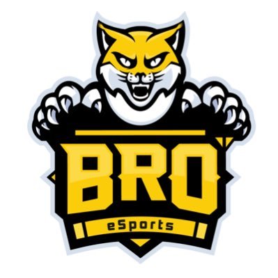 We are an esports organization
Building our roster and community
twitch: BROeSPortsvip
Youtube:BROeSports
IG:broesportssenta