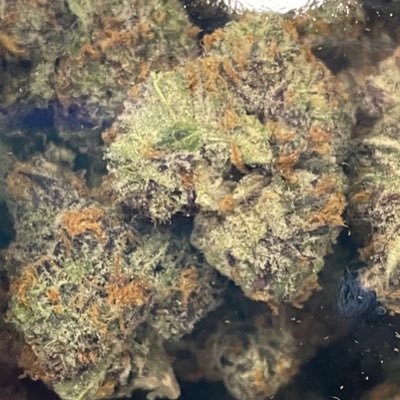 Nothing for Sale! Zips Cannabis Product Reviews! Tacoma. Wa