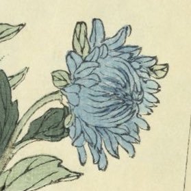 samweeeeeee's profile picture. 