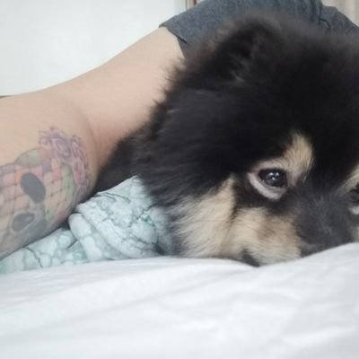 bananarhuma's profile picture. she/her.
https://t.co/BfMiCH4337