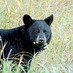 Alberta Outdoors (@aboutdoorsmag) Twitter profile photo Alberta Outdoors (@aboutdoorsmag) Twitter profile photo