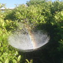 Dallas Collins - @DallasCollins42 - Twitter