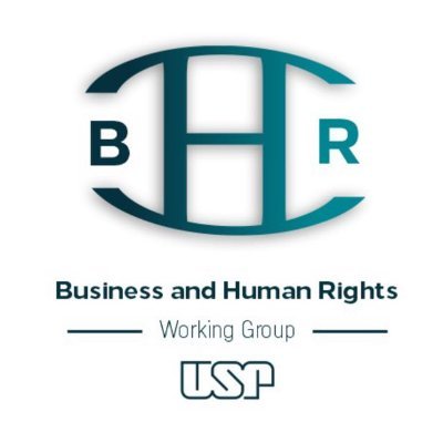 Our purpose is to discuss and think about strategies towards the promotion of human rights in the business field.