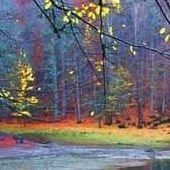 mitfbjufccsf's profile picture. 