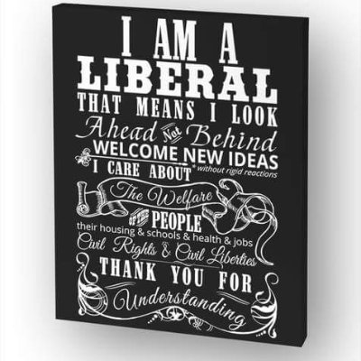 The true Republican agenda is the engineer the corporate takeover of America. They have been at it for decades. That's why I'm a Democrat.