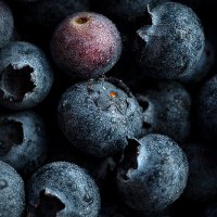 Pep Montoya (@pep_montoya) 's Twitter Profile