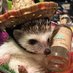 Pohe Ritchi (@poheritchi) Twitter profile photo Pohe Ritchi (@poheritchi) Twitter profile photo