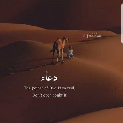 mrym_gml's profile picture. Political scientist
MBA loading......
Married