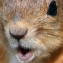 Shannon Cone - @scone98 - Twitter