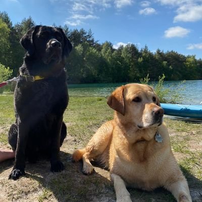 De_Ostfrees's profile picture. Lever dood as Slaav  💙💙💙💙💙💙