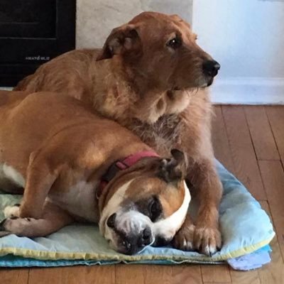 erinpinero's profile picture. 