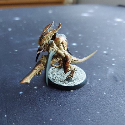 Puts paint on models (some of it even in the right place) then pushes them round a table. 40k nerd since '94 with a burgeoning interest in historicals. He/Him