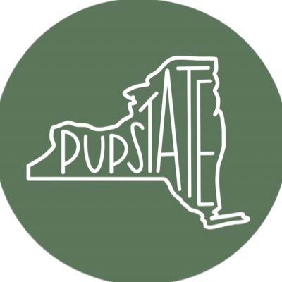 pupstateny Profile Picture