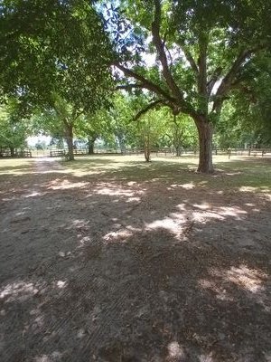 slagis69's profile picture. never let these bitches know ur steps.
 DM Nudes. DM นู้ด DM裸體 Telanjang DM DM 누드 DM ဝတ်လစ်စလစ်

2 min for pop corn and enjoy.