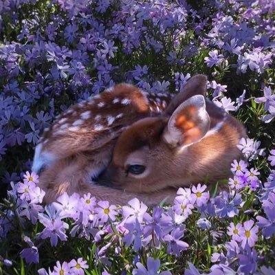 واختر لقلبكَ مايليقُ بحُسنِهِ فالقلبُ مأخوذٌ بكل جميل 💜.