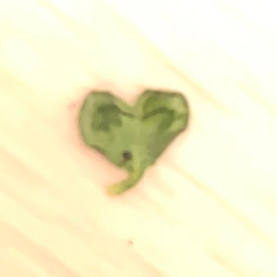 littlemensiru's profile picture. アニメ 声優 歌い手 ゲーム実況者とにかくDD 04.🚺