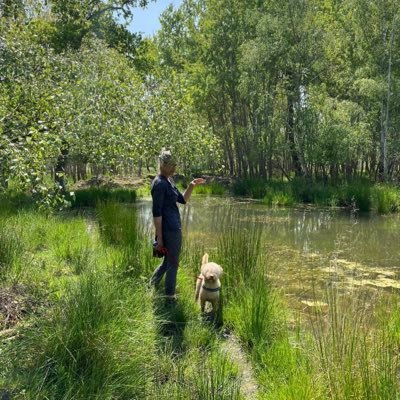 I love wandering the woods with my dogs, I love butterflies, birds, fungi, mosses, ferns, trees, grasses, bees, bugs, snakes.. feathers and skull finds!