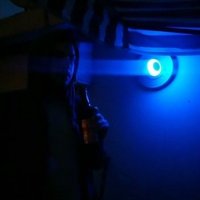 Semir (@herpetres) Twitter profile photo