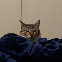 Nati T. (@nati_tpy) 's Twitter Profile