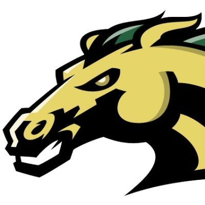 OlaTrack_Field's profile picture. Home of the Mustangs. A POSITIVE LIFE WINNING ATTITUDE PROGRAM. Mentor athletes to excel in life as well as in Track  and Field.
