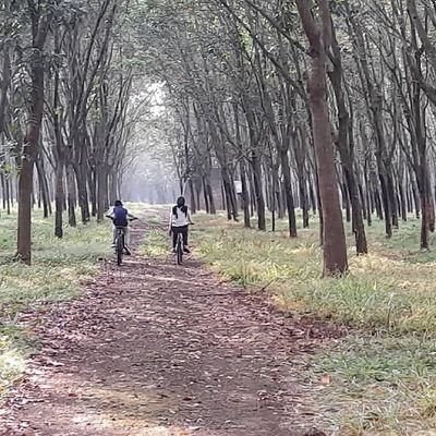 Mamanshu75's profile picture. ok