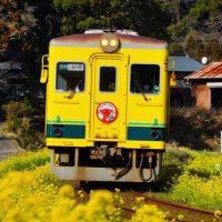いすみ鉄道株式会社 【公式】 (@isumitetsuitter) 's Twitter Profile