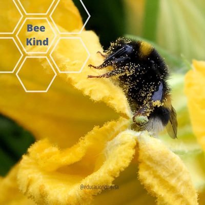 bee_lover8's profile picture. 