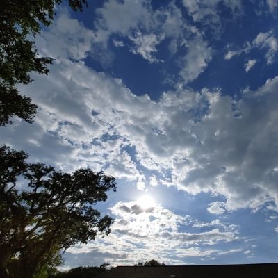 Fort_Livingroom's profile picture. #Army #Infantry #Veteran #Dad #ServiceDog #DogDad #Military #NoliMeTangere !  #DarkHumor #MedicalCannabis