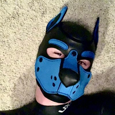 pupcircuit1's profile picture. Happy pup from WV 27 🏳️‍🌈