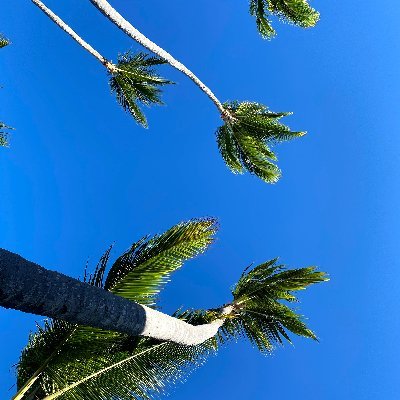 espmcas's profile picture. A little bit of bit.