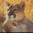 komaderea's profile image
