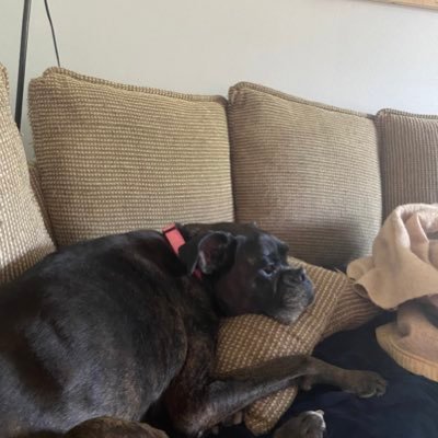 8Cyates's profile picture. Very Proud Mother of a Canadian Soldier