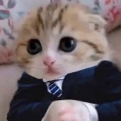 Psylexic's profile picture. I'm all business baby